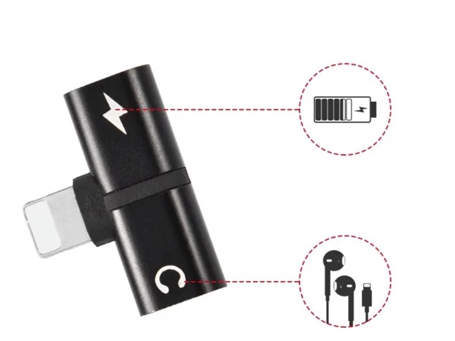 Adaptateur Lightning pour iPad et iPhone 2 en 1