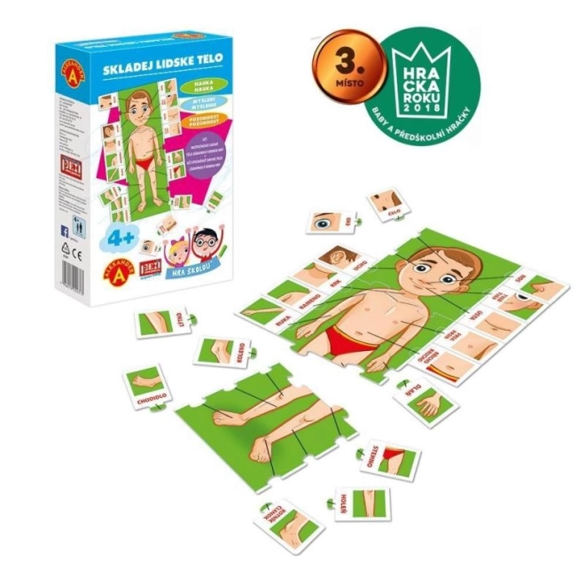 Jeu d'École4; - ASSEMBLE LE CORPS HUMAIN