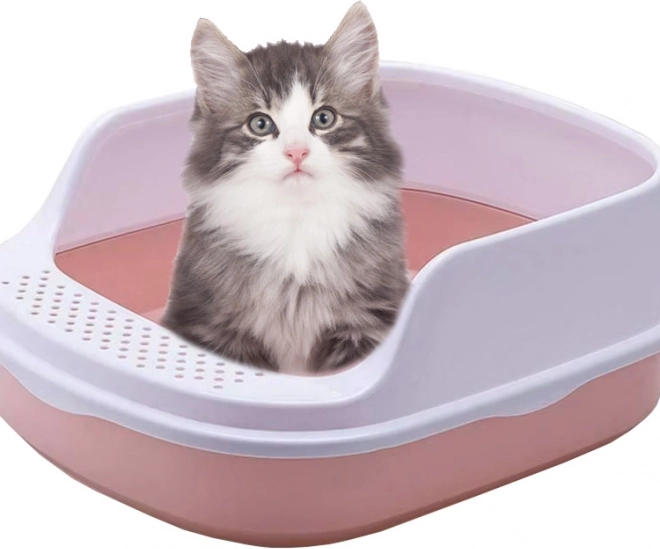 Design ouvert pour une entrée confortable
