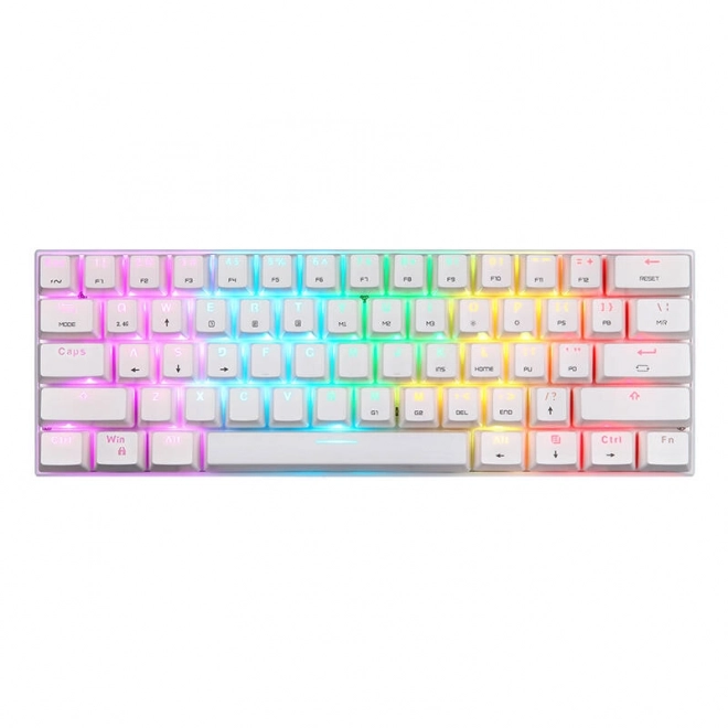 Clavier mécanique sans fil Motospeed SK62 White – Commutateur Bleu