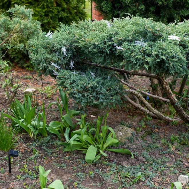 Guirlandes solaires pour le jardin 6,5 m 30 LED blanc chaud