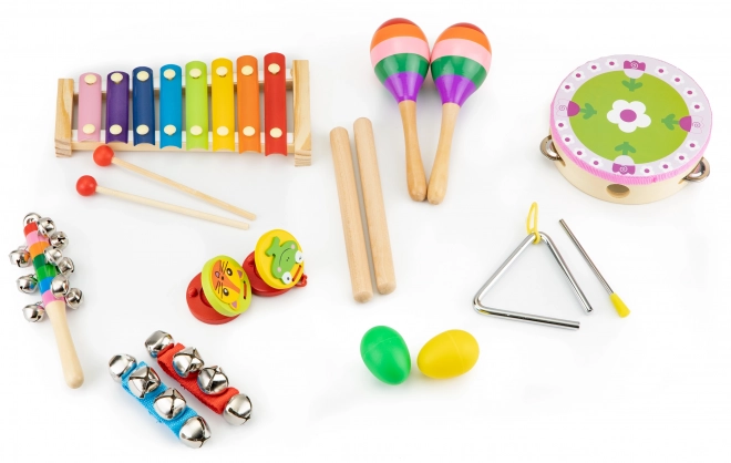 Ensemble musical 14 instruments + sac Ecotoys
