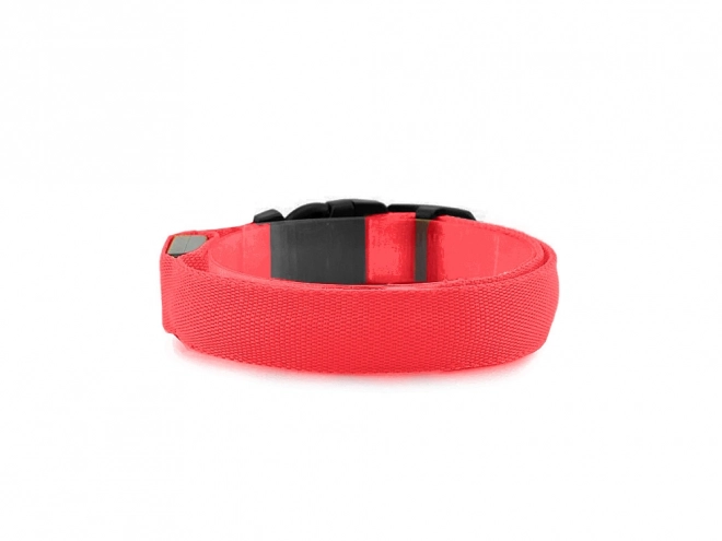 Collier lumineux LED pour animaux de compagnie
