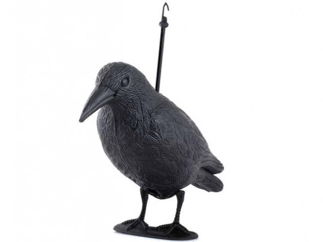Corbeau effrayant pour les oiseaux