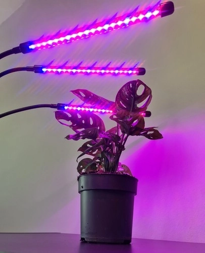Lampe 20 LED 3 pcs pour la croissance des plantes Gardlov 19242