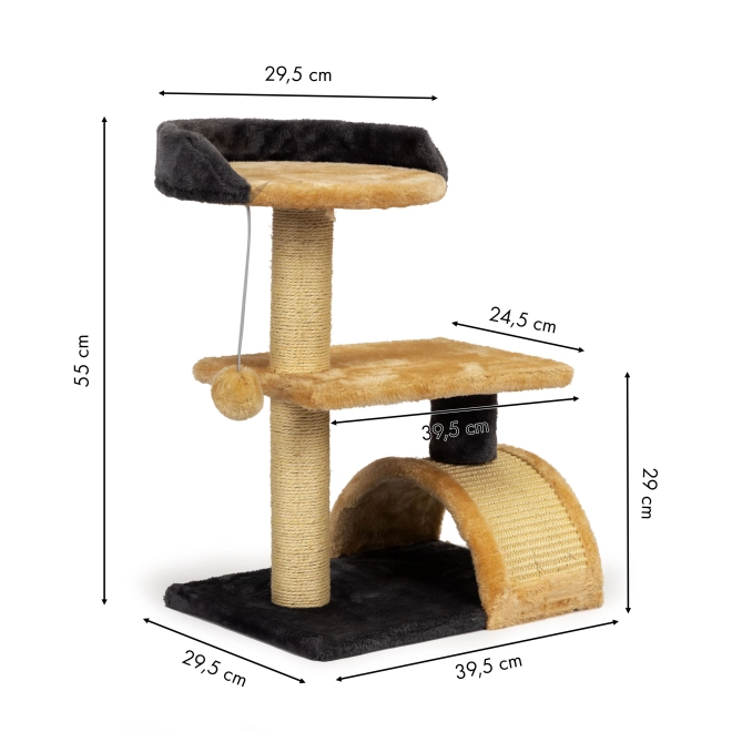 Design attrayant et amusement pour chats