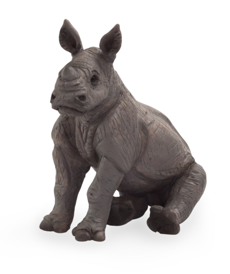 Mojo rhinocéros bébé assis