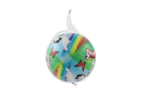 Balle chiens 23 cm