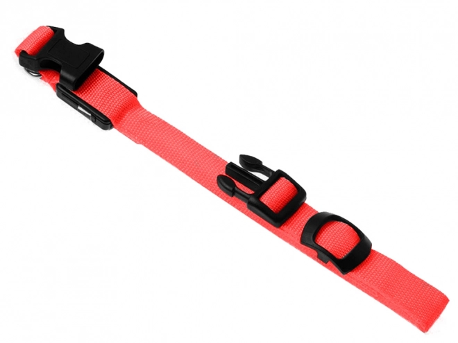 Collier lumineux LED pour animaux de compagnie