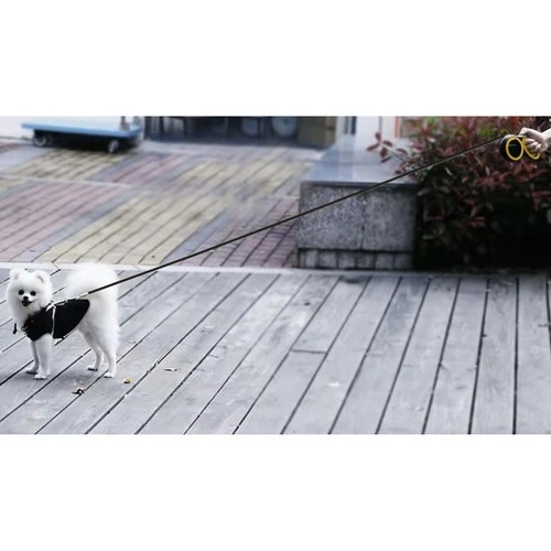 Laisse automatique pour chien 8m/50kg