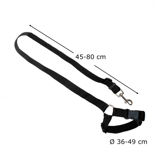 Laisse de sécurité pour ceinture de voiture pour chien et chat