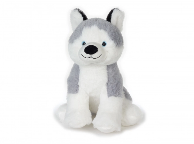 Husky en peluche Play Eco 22 cm