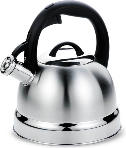 bouilloire avec sifflet 2,9 l maestro