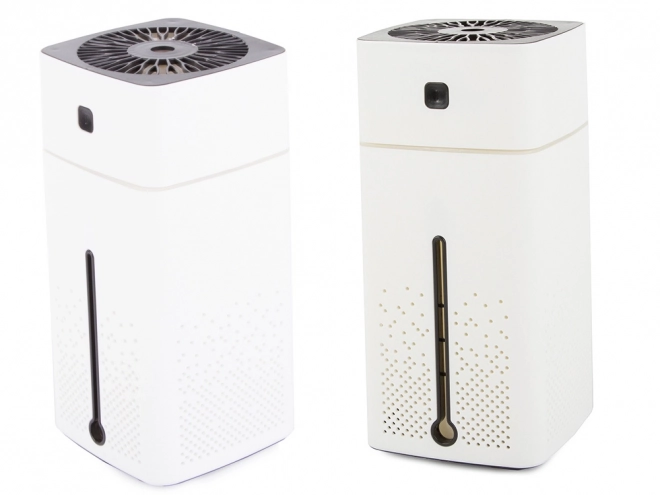 Humidificateur à ultrasons pour l'aromathérapie avec éclairage RGB