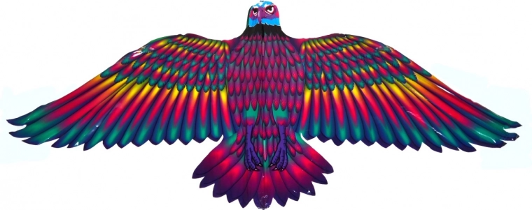 Vol stable grâce aux larges ailes