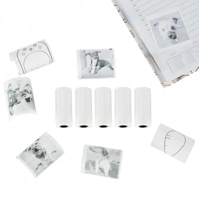 Papier thermique autocollant en rouleaux pour mini-imprimante 5,7 cmx4,5 m 5 pièces