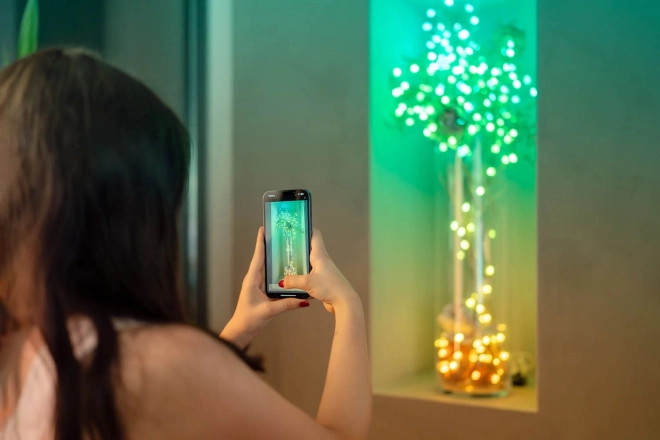 Guirlandes lumineuses intelligentes décoratives USB-C (Bonbons) 100 LED RGB, bougies, câble vert, 6 m