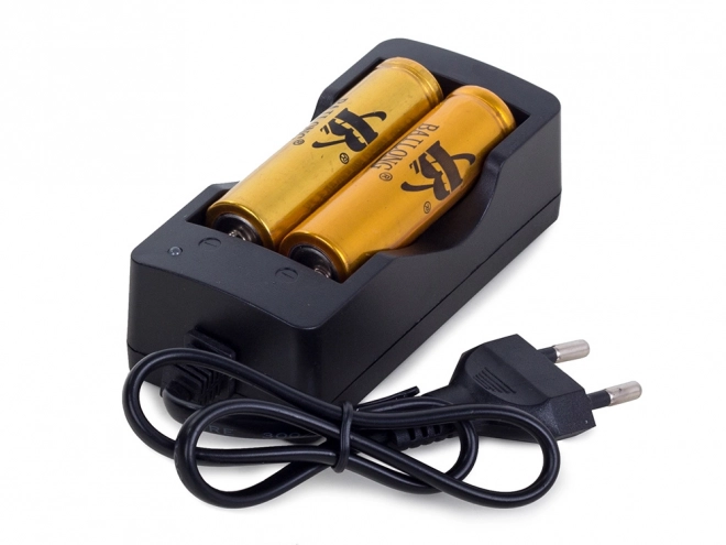 Chargeur de batterie double 18650