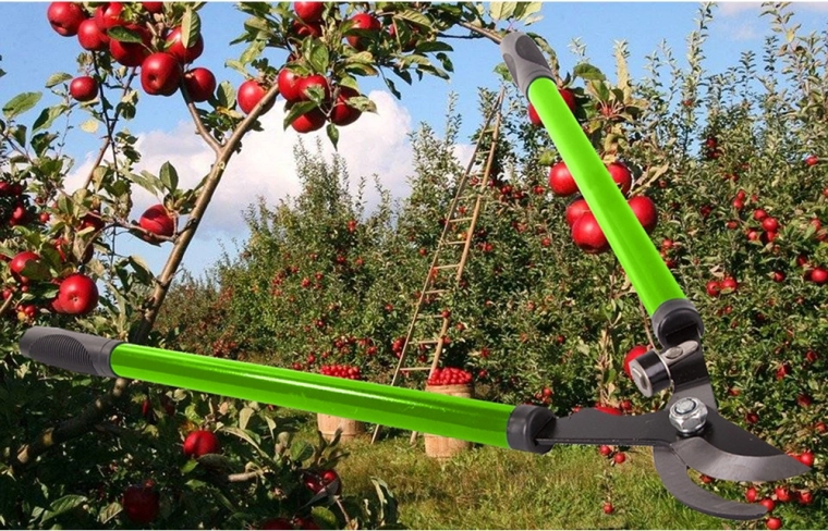 Puissance maximale grâce aux longs bras