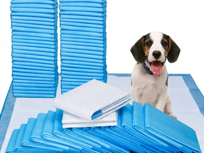 Tapis d'entraînement pour chiens 60x90 cm