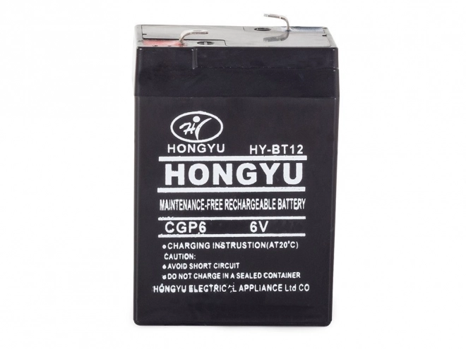 Verk batterie gel universelle 6V 4.5Ah