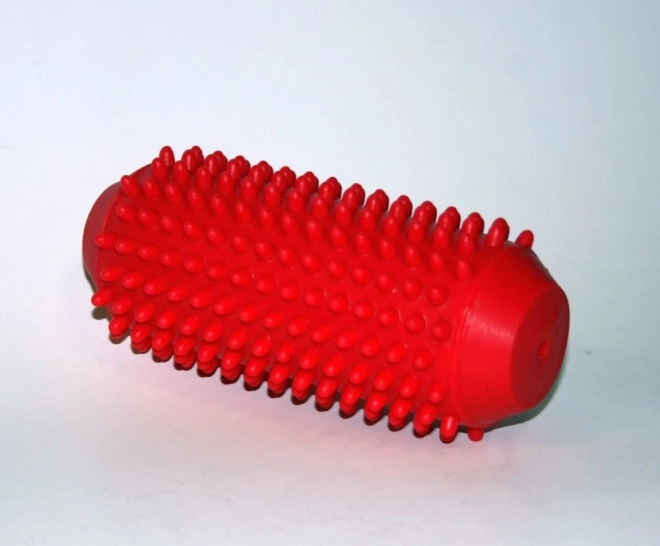 Rouleau de massage antistress avec picots