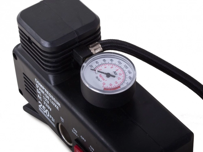 Compresseur auto 12V/230V