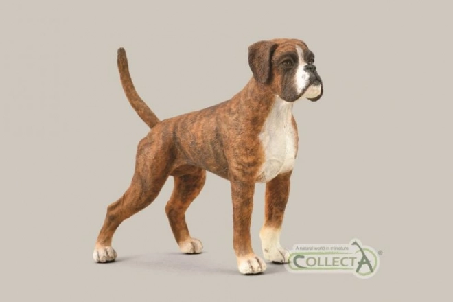 CollectA figurine chien Boxer
