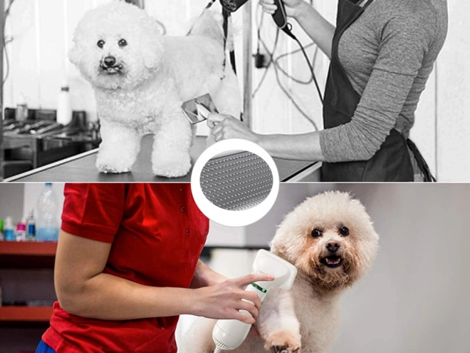 Sèche-cheveux brosse peigne 2en1 pour animaux de compagnie