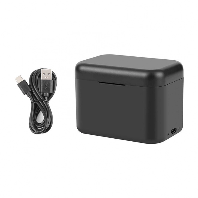 Étui de recharge pour batteries et cartes mémoire pour Insta360 X4 - noir
