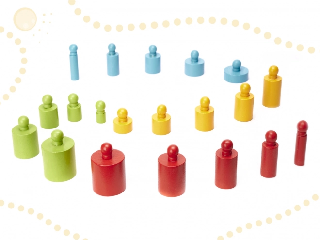 Poids colorés d'insertion en bois Montessori