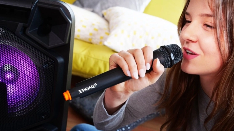 Karaoké amusant avec micro sans fil