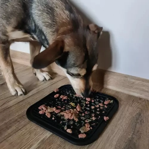 Massage des gencives et alimentation plus lente