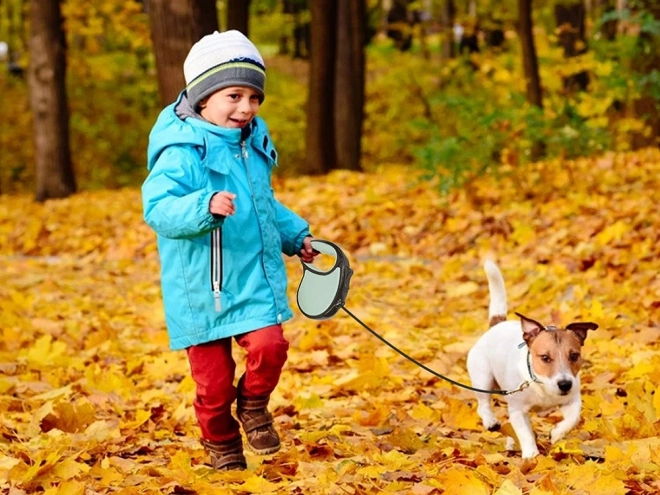 Laisse rétractable automatique pour chiens 5m