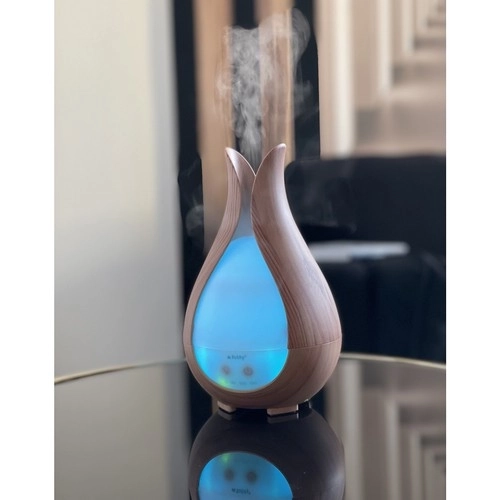 Diffuseur d'arômes et humidificateur d'air 200ml Ruhhy