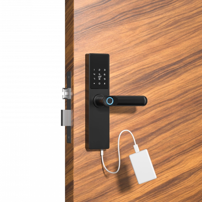 Serrure intelligente de porte Tuya, Serrure électronique de porte à empreinte digitale, code, Wi-Fi, RFID - noir