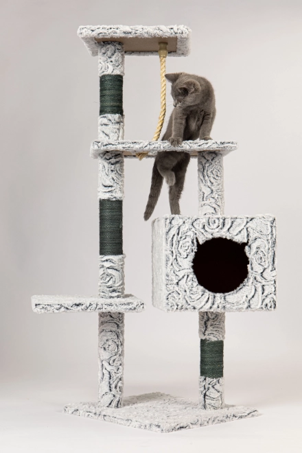 Grand griffoir pour chats avec maisonnettes