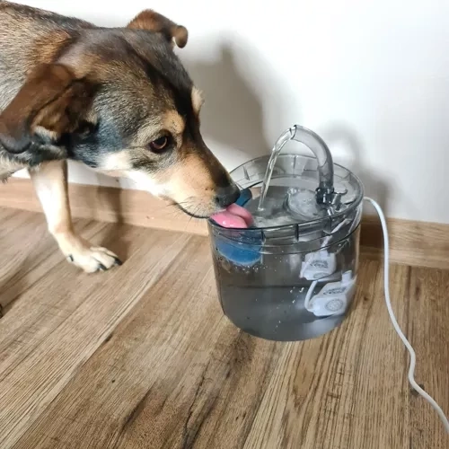 Lot pratique de 4 pièces pour un usage prolongé