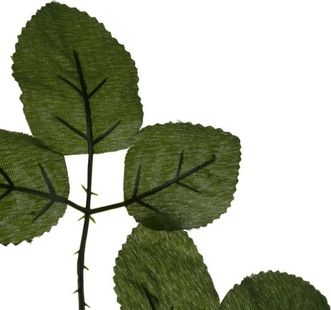 Texture et couleur réalistes