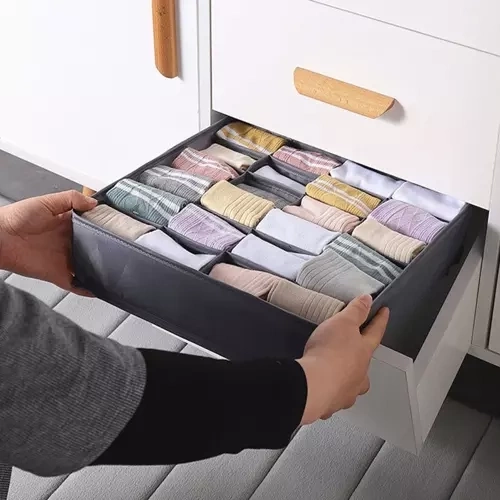 Organiseur pour sous-vêtements - ensemble de 4 pièces. Ruhy 19914