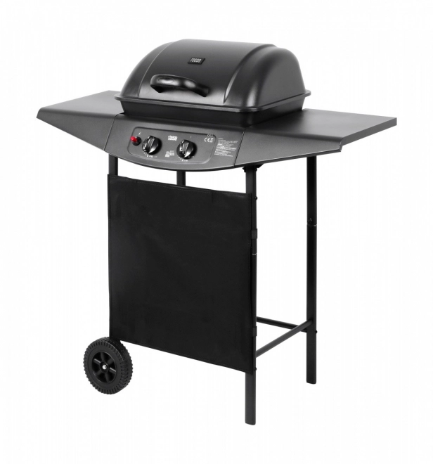 Gril à gaz BBQ 2000