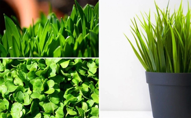 Lampe LED pour croissance des plantes 200 LED E27