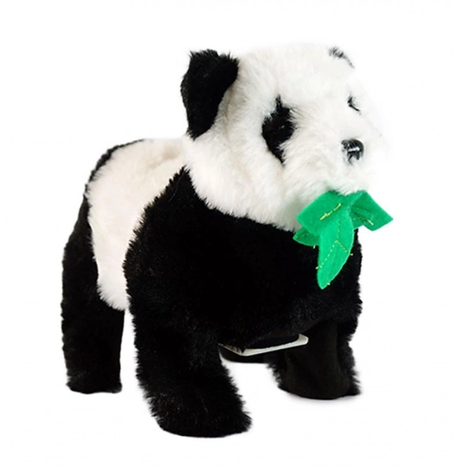 Panda acrobate