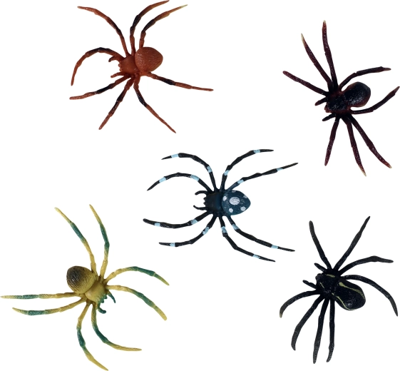 Diversité des couleurs