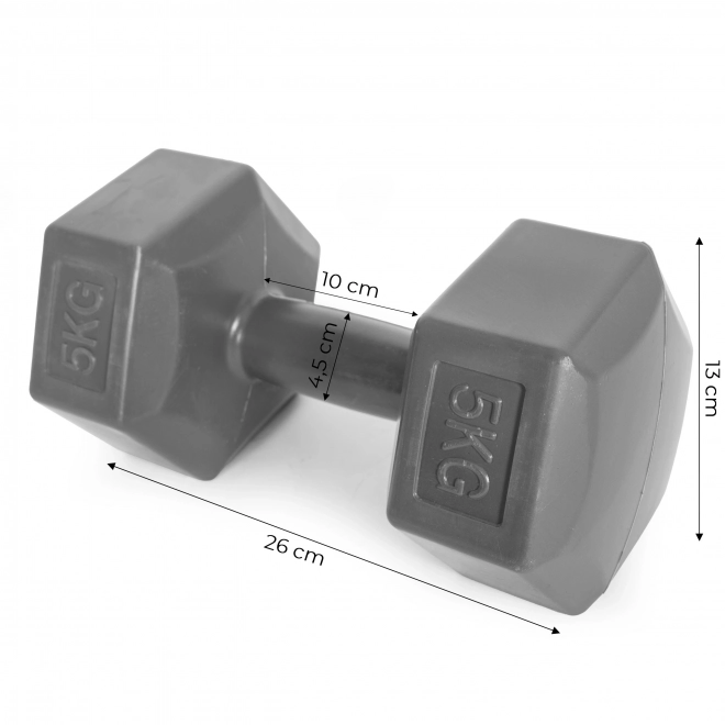 Ensemble d'haltères hexagonaux 2x5 kg gris ModernHome