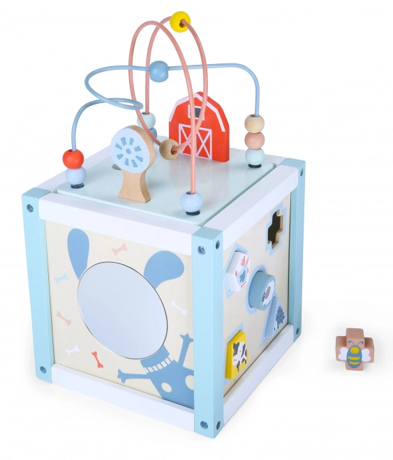Tri de cubes en bois avec blocs Ecotoys