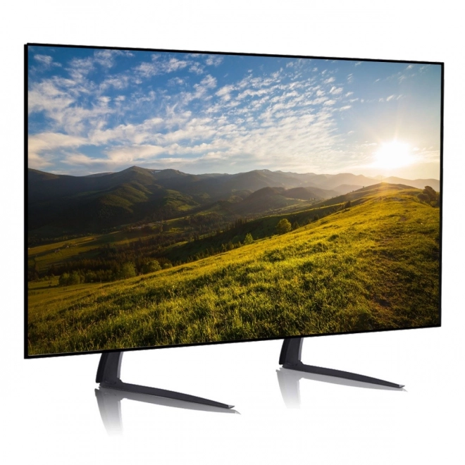 Support TV universel / pieds MC-954