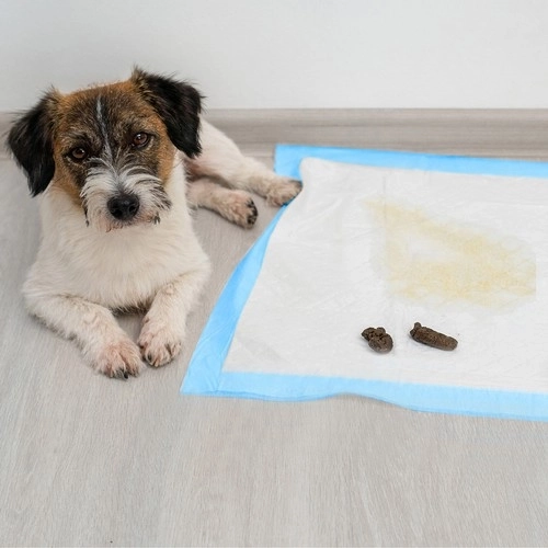 Tapis Hygiénique 60x60cm 50pcs