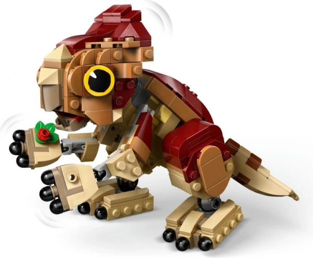 Plante à construire et finitions détaillées