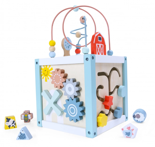 Tri de cubes en bois avec blocs Ecotoys